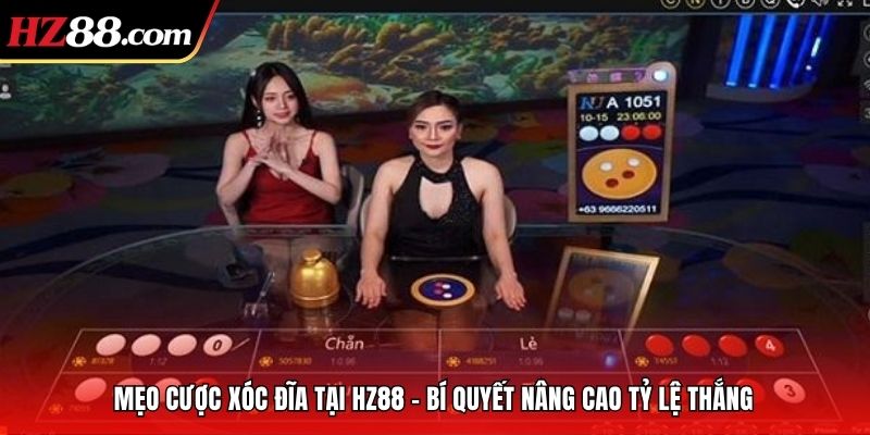 Mẹo Cược Xóc Đĩa Tại Hz88 – Bí Quyết Nâng Cao Tỷ Lệ Thắng